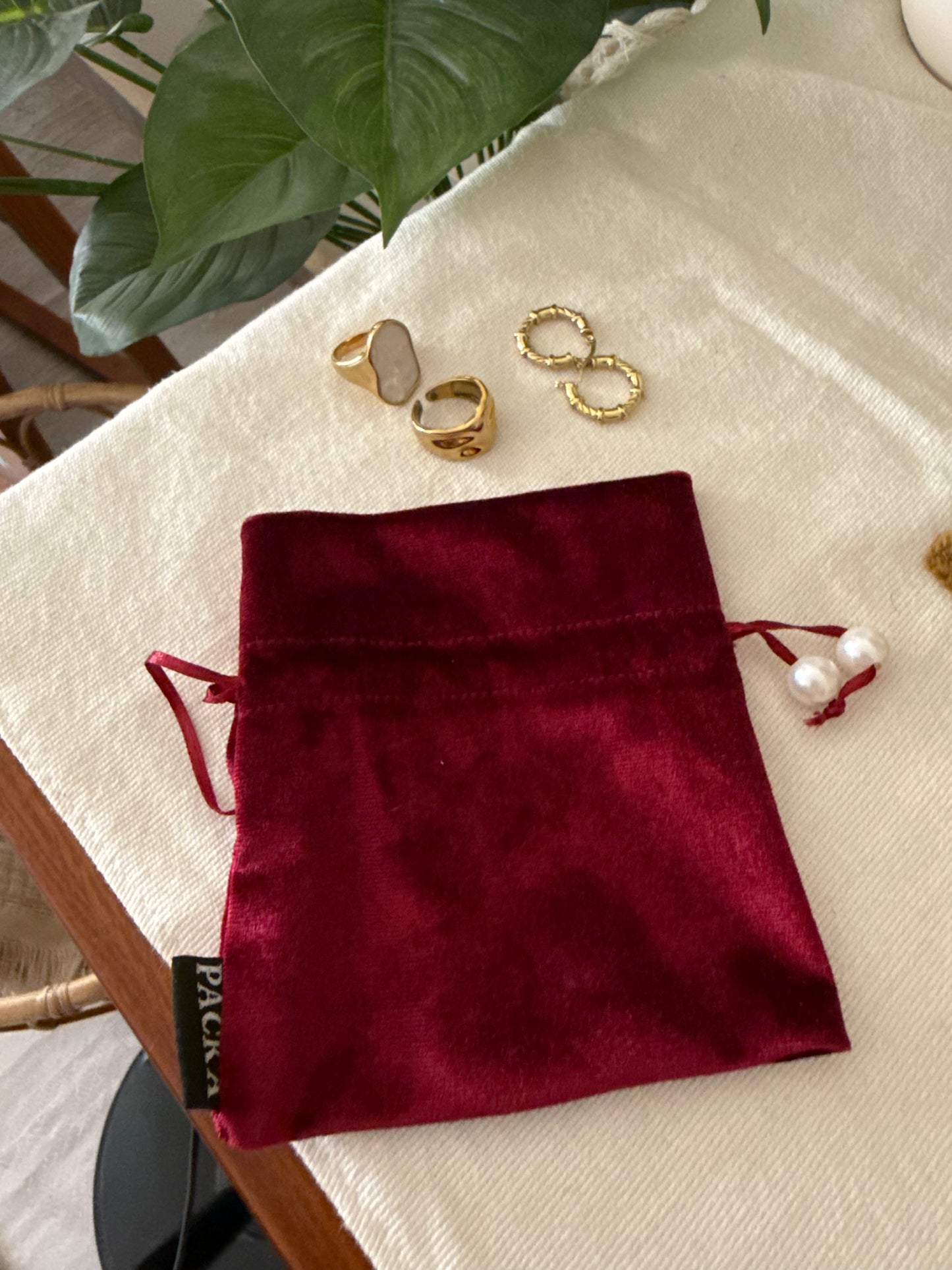 Velvet Accessories Pouch Bag