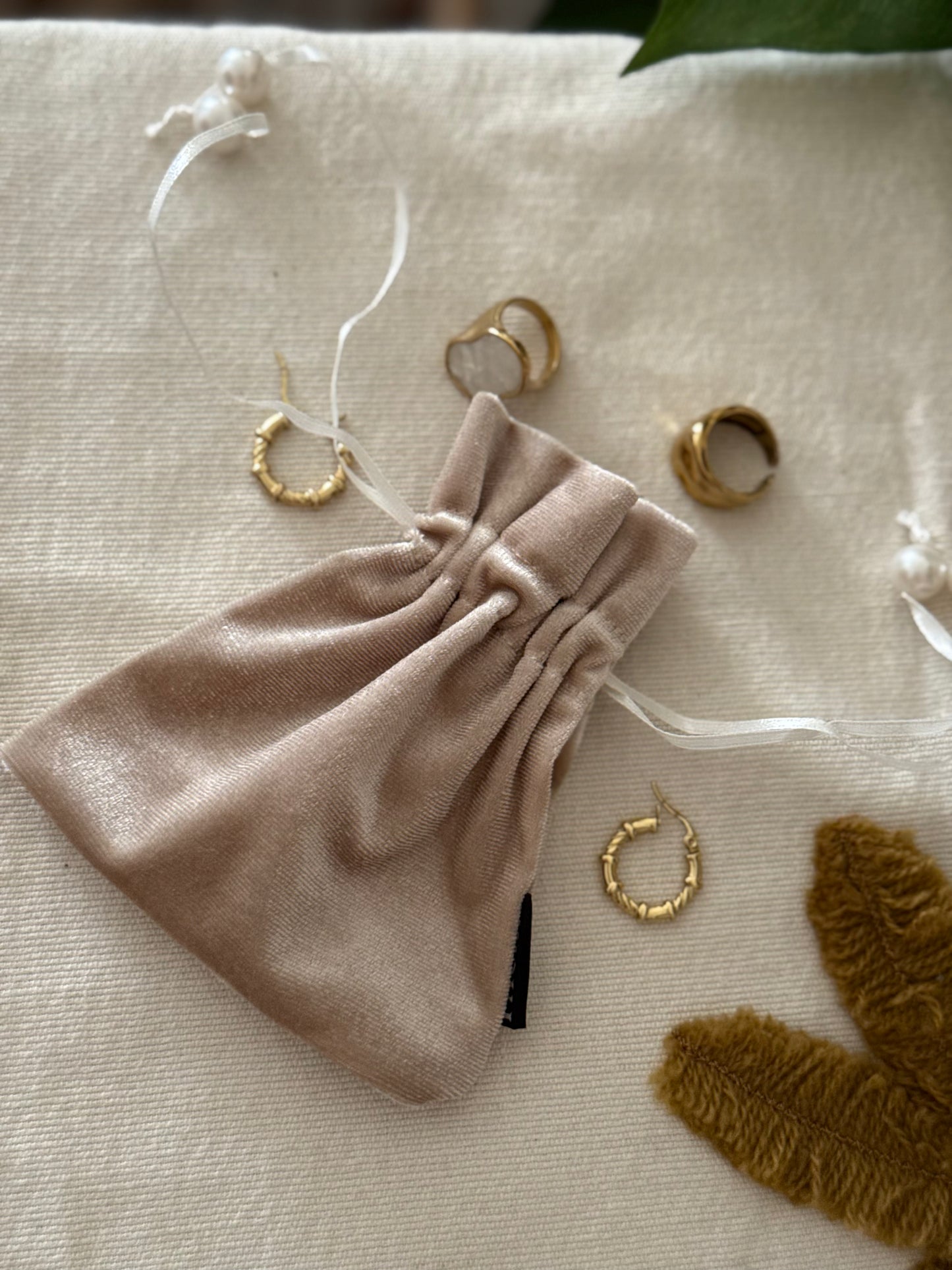 Velvet Accessories Pouch Bag