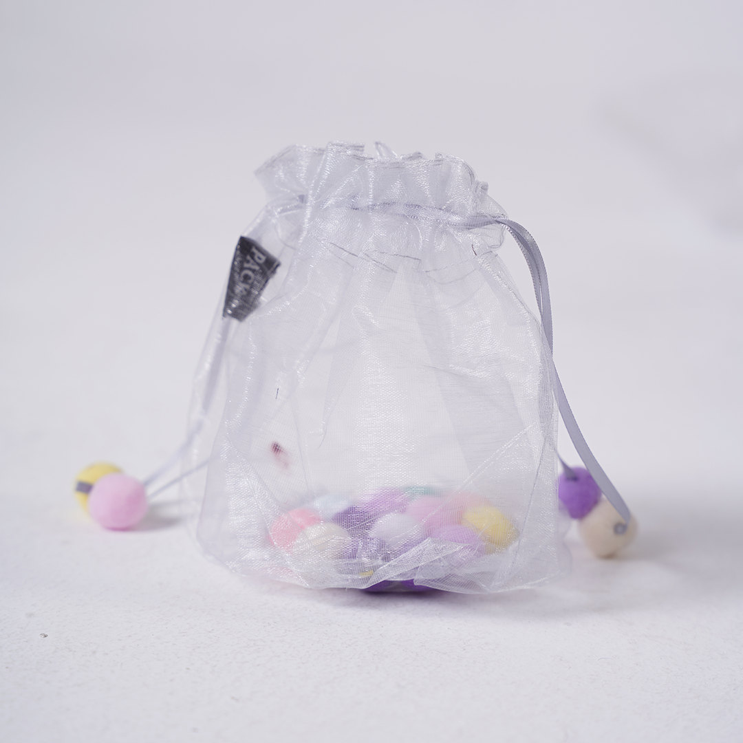 Organza Transparent Pouch Bag