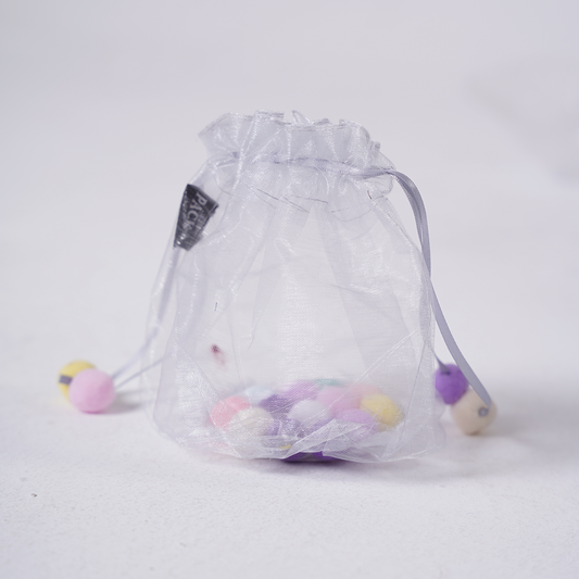 Organza Transparent Pouch Bag